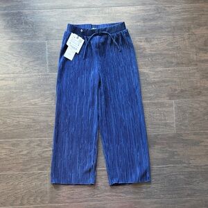 Zara Navy Pleated Trousers